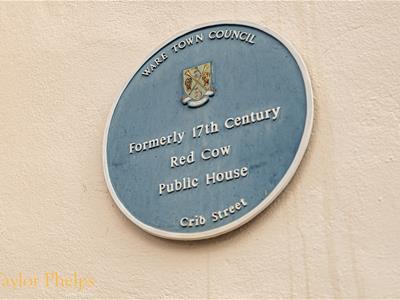 Picture 22